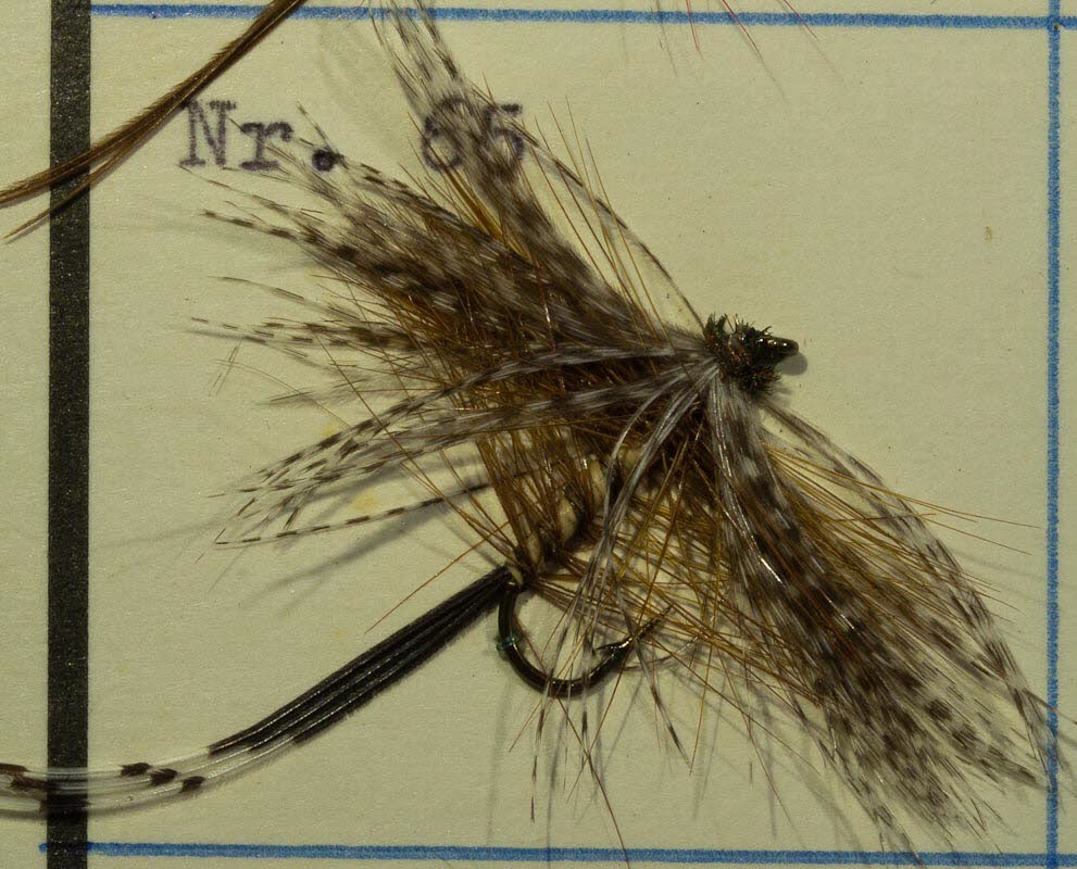 Nr. 65