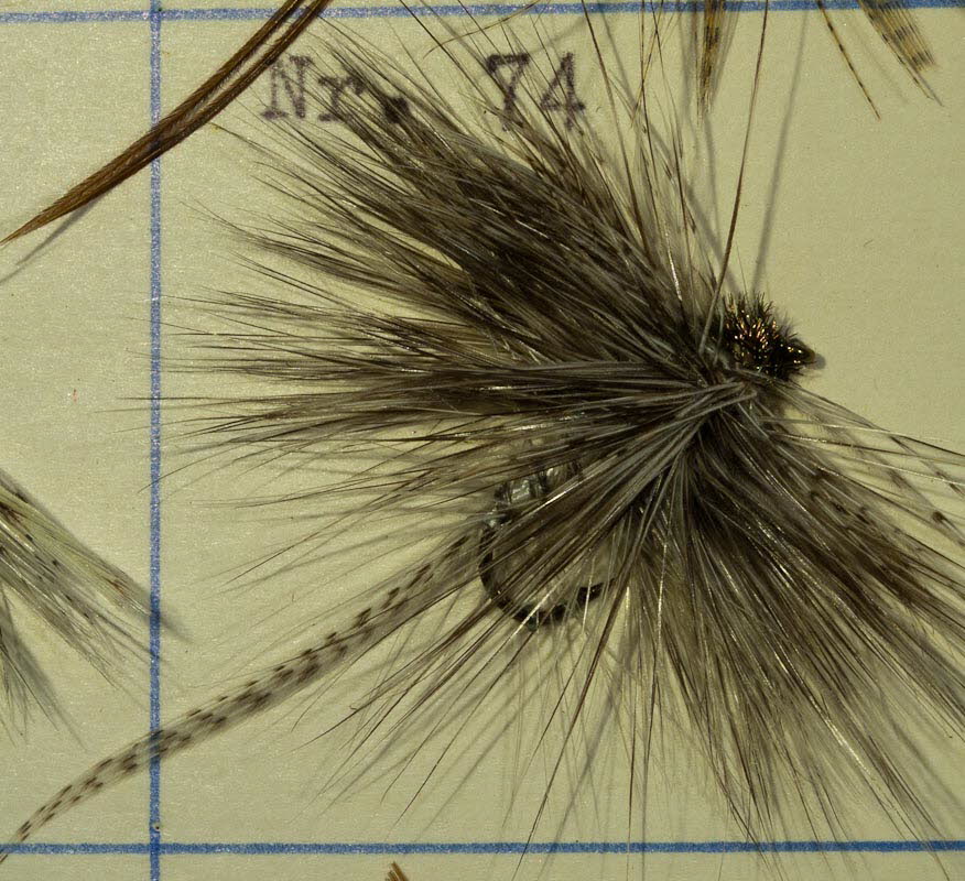 Nr. 74