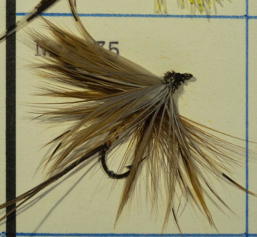 Nr. 75