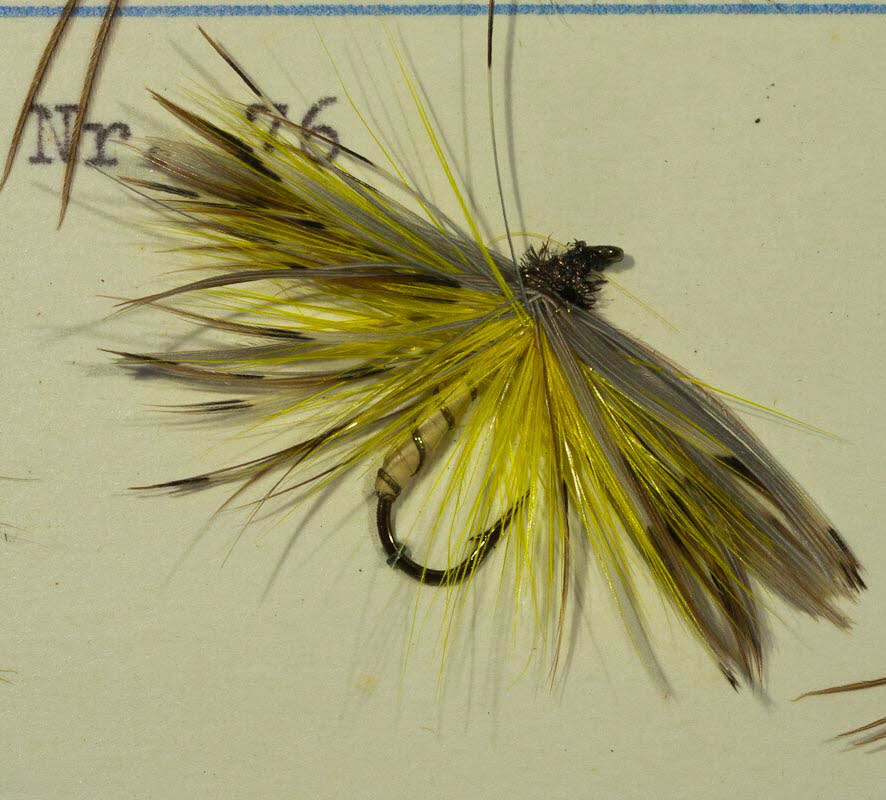 Nr. 76