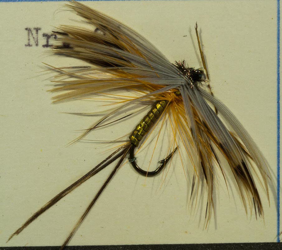 Nr. 81