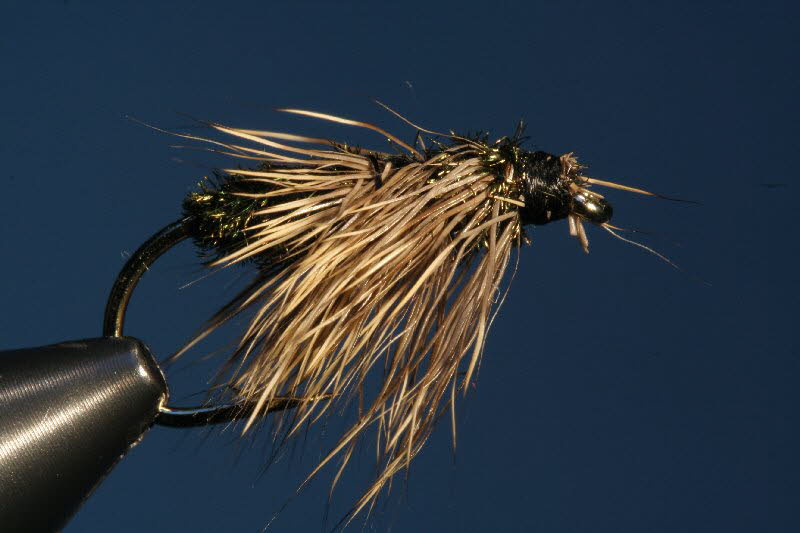 Baxmann Kobold