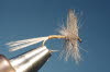 Blue Quill