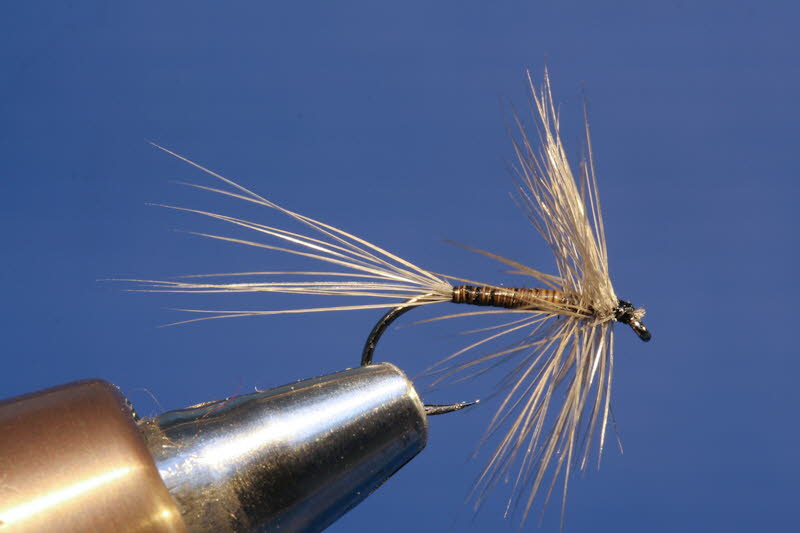 Blue Quill