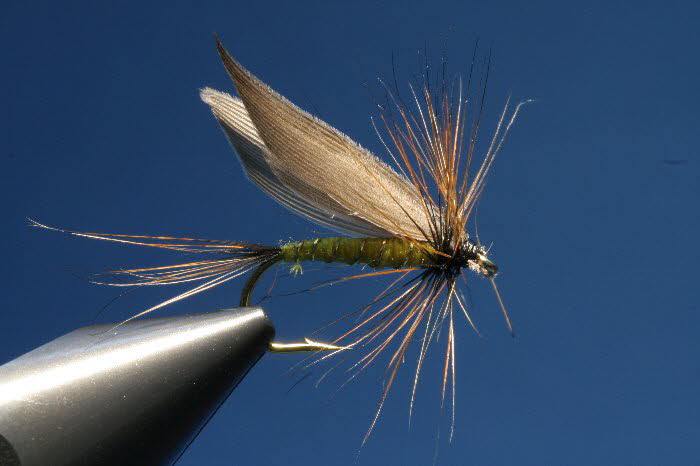 Greenwells Fliege