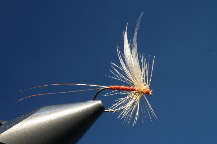 Rotspinner