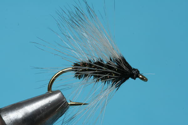 Grauer Palmer