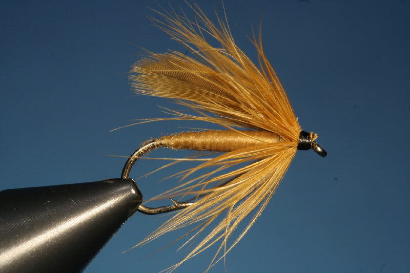 40. The Cinnamon Fly 40. The Cinnamon Fly