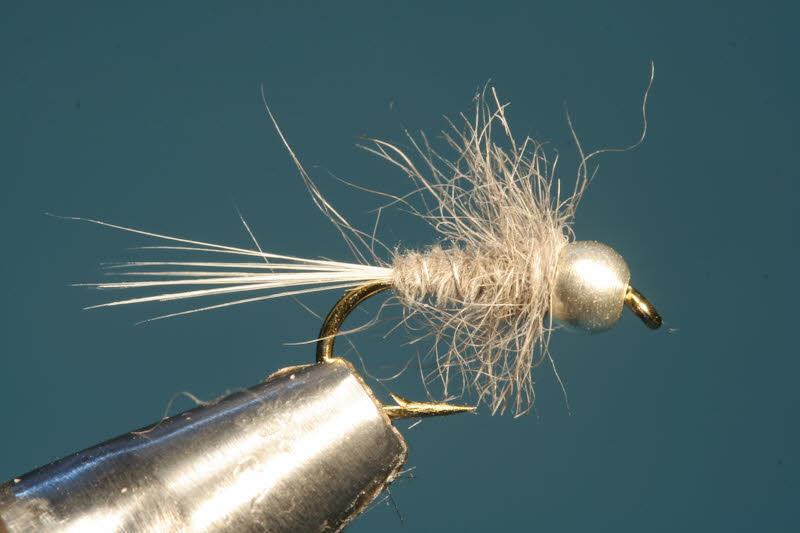 French Nymph 12