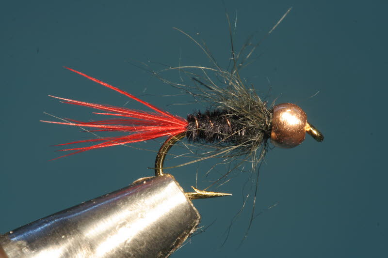 French Nymph 13