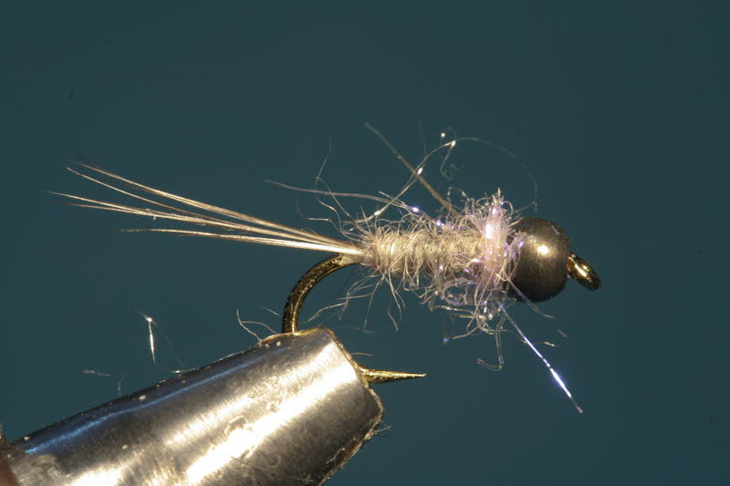 French Nymph 16