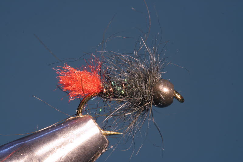 French Nymph 3 