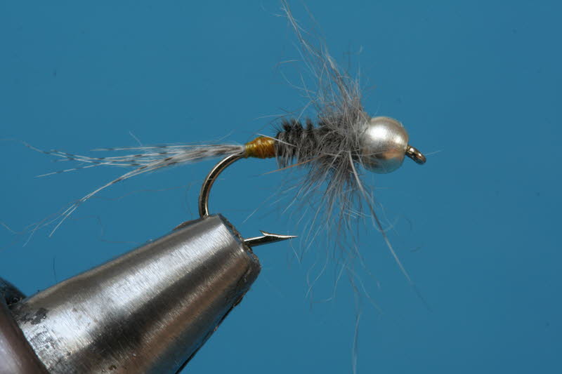 French Nymph 50