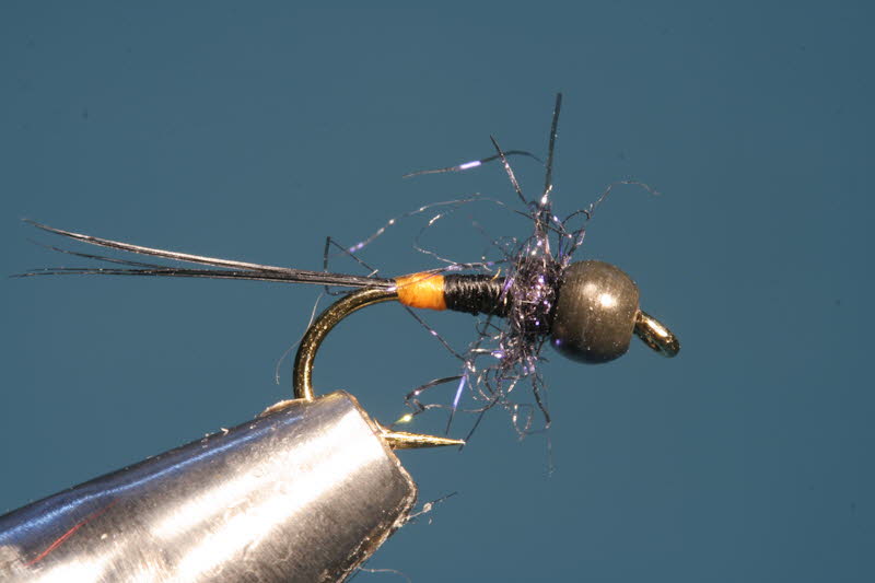 French Nymph 5