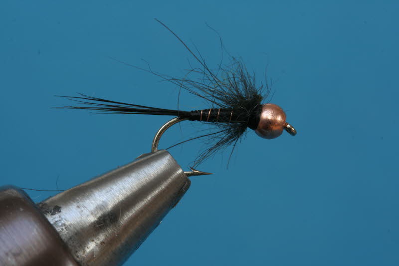 French Nymph 56