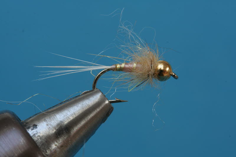 French Nymph 58