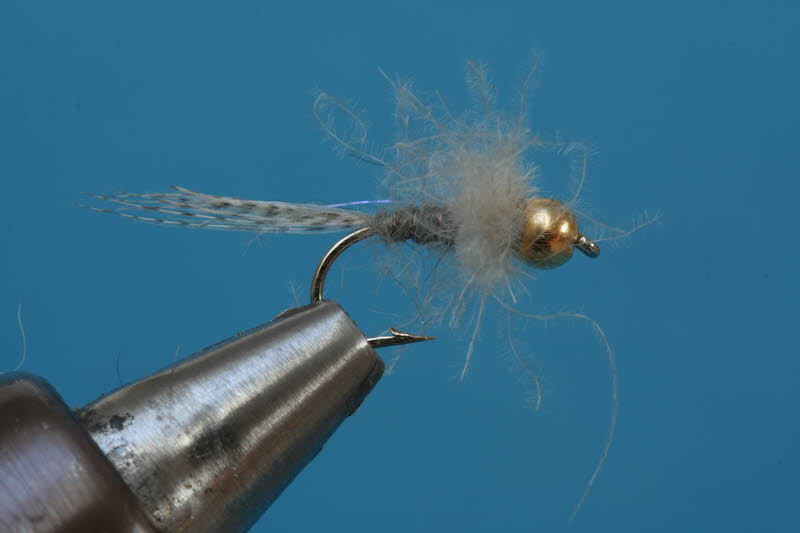 French Nymph 61