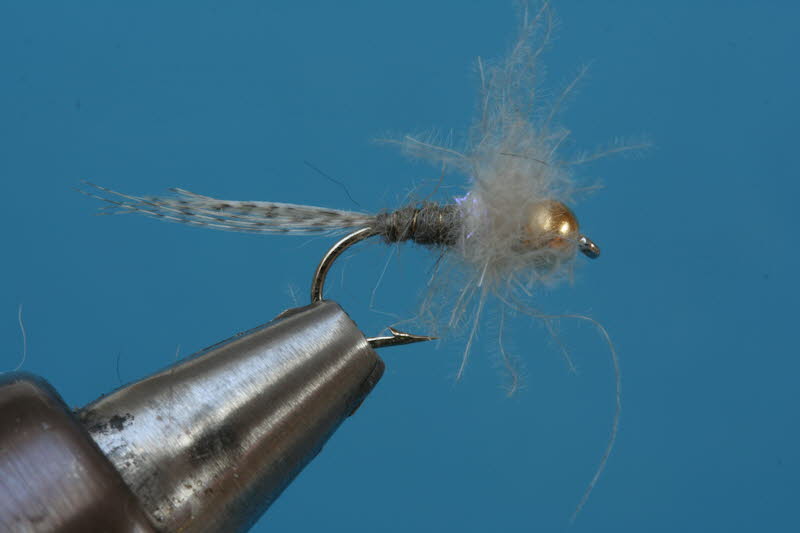 French Nymph 62