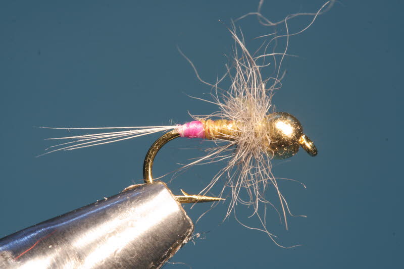 French Nymph 6
