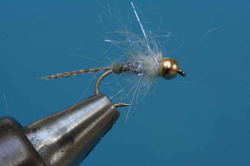 French Nymph 66