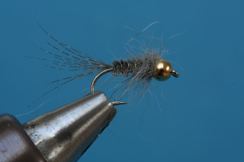 French Nymph 68