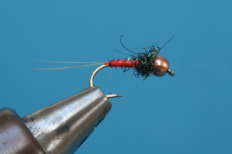 French Nymph 71