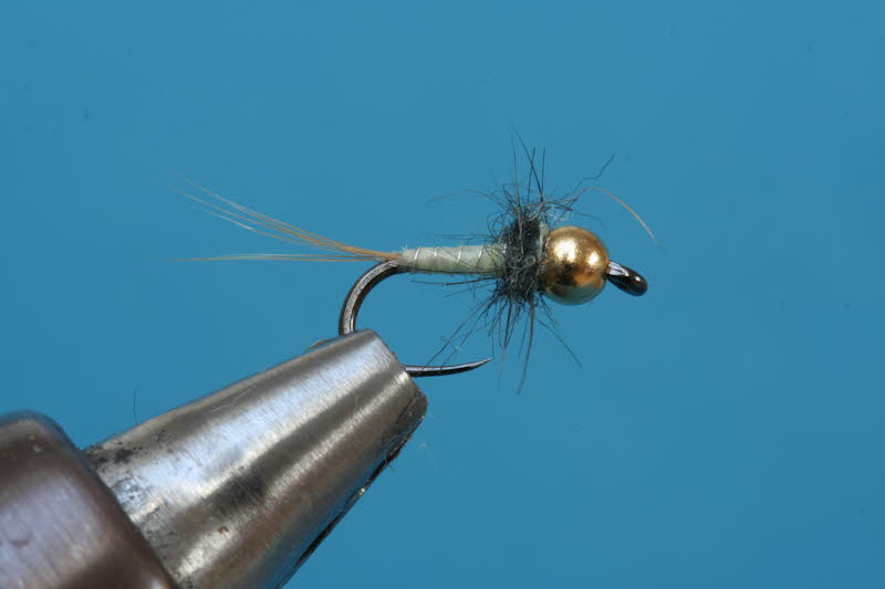 French Nymph 74