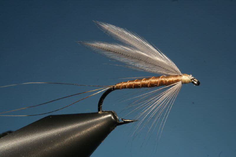 23. Little Dark Spinner