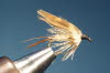 Marchbrown Male