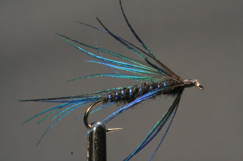 Blue Flame