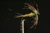 BWO Nassfliege