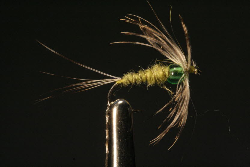 BWO Nassfliege