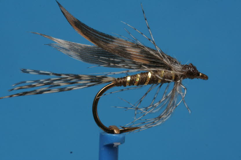 Braune Nassfliege