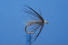 Waterhen Bloa