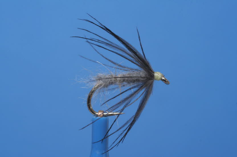 Waterhen Bloa