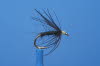 Schwarze Waterhen Bloa