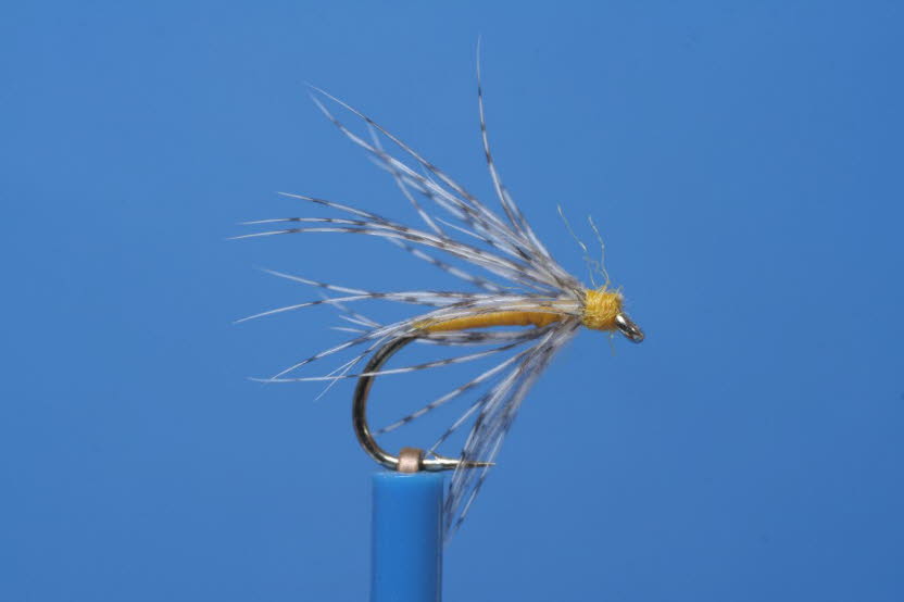 Partridge and yellow
