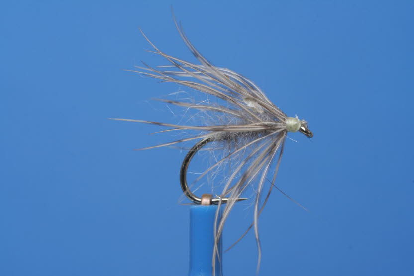 grauer Spider