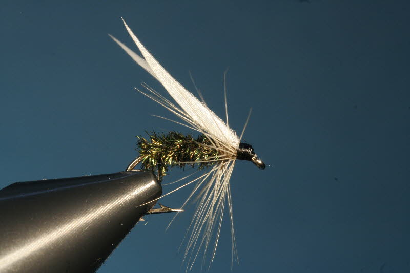 7. Peacock Fly - Pfauenfliege 7. Peacock Fly - Pfauenfliege