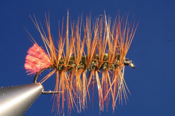 RedTag Worm RedTag Worm