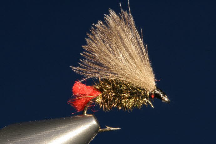 CDC Red Tag