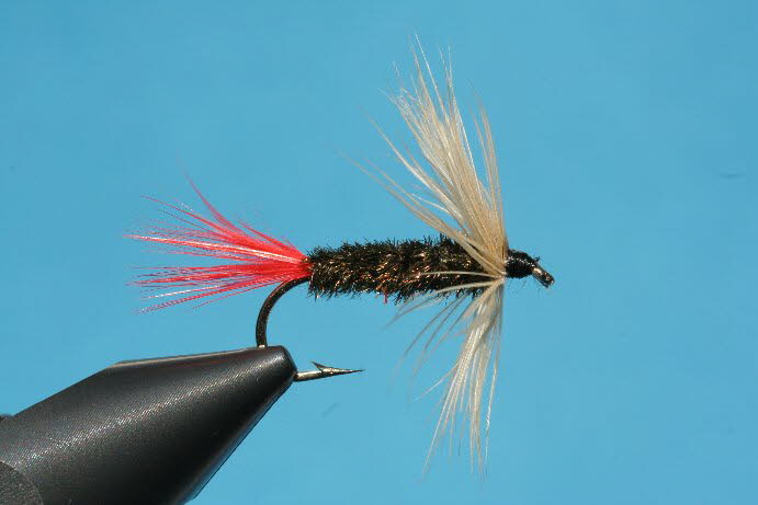 Soft Hackle RedTag