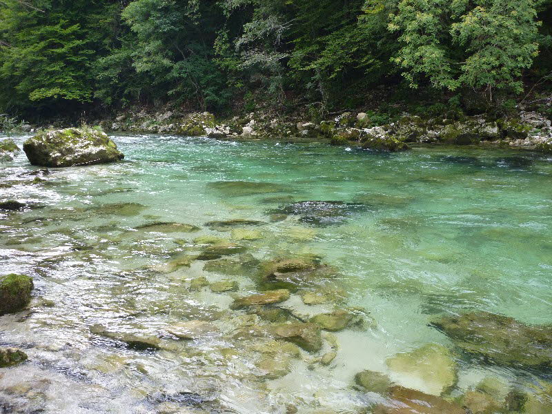 Ruhiger Zug