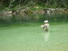 Im ruhigen Wasser