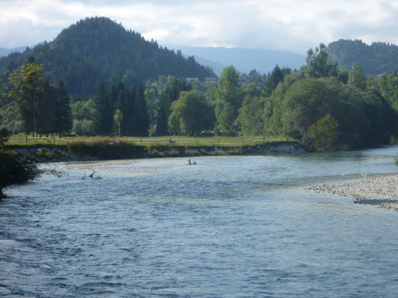 Blick �ber die Sava in Richtung Bodesce
