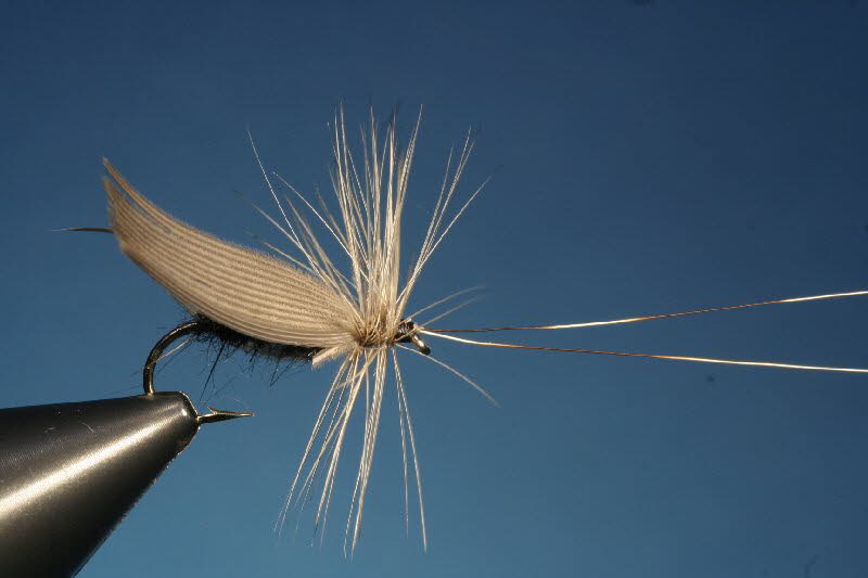 37. The Silver Horn (Black Silver Twist) 37. The Silver Horn (Black Silver Twist)