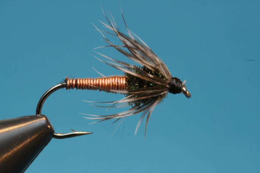 Brassie