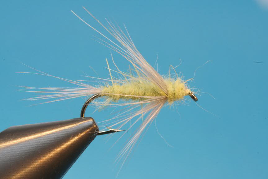 Light Olive