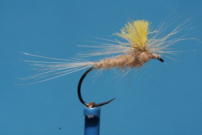 Beige Parachute