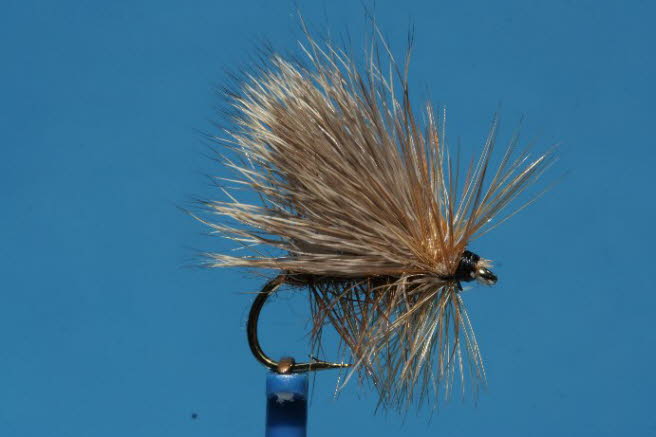 Rehhaar Caddis 